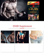 Load image into Gallery viewer, ISDG HMB L-Carnitine Whey Protein Supplement
